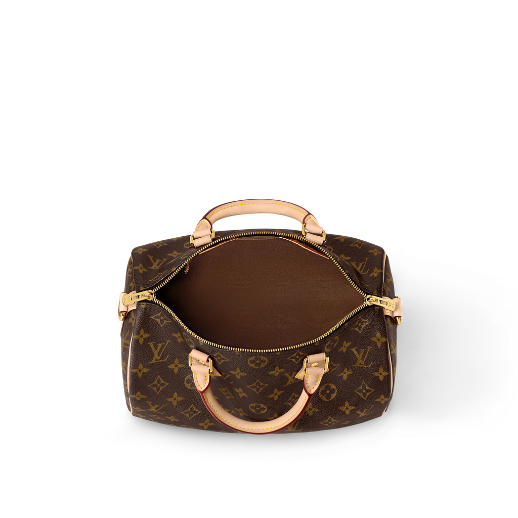 LV Speedy Bandoulière Handbag