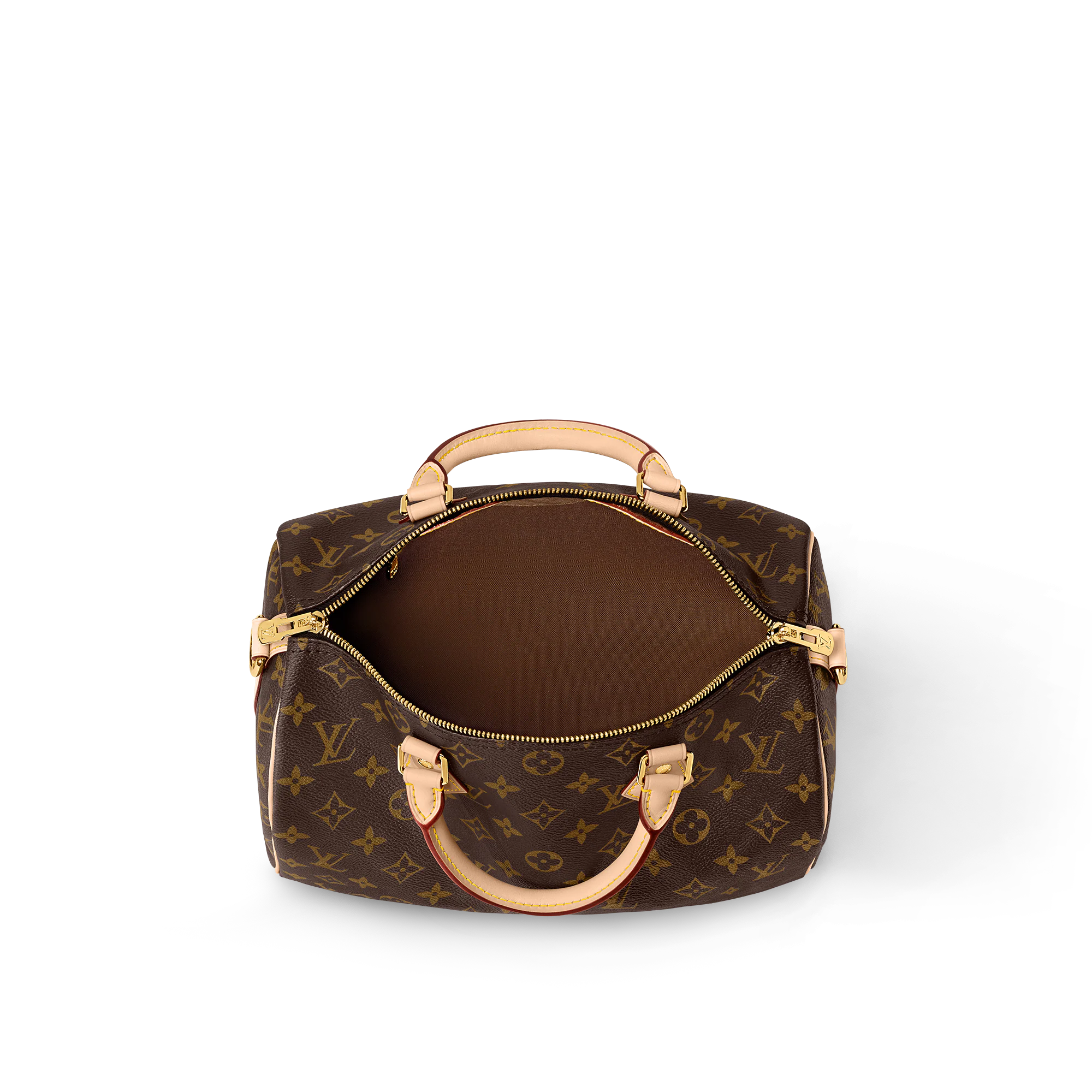 LV Speedy Bandoulière Handbag